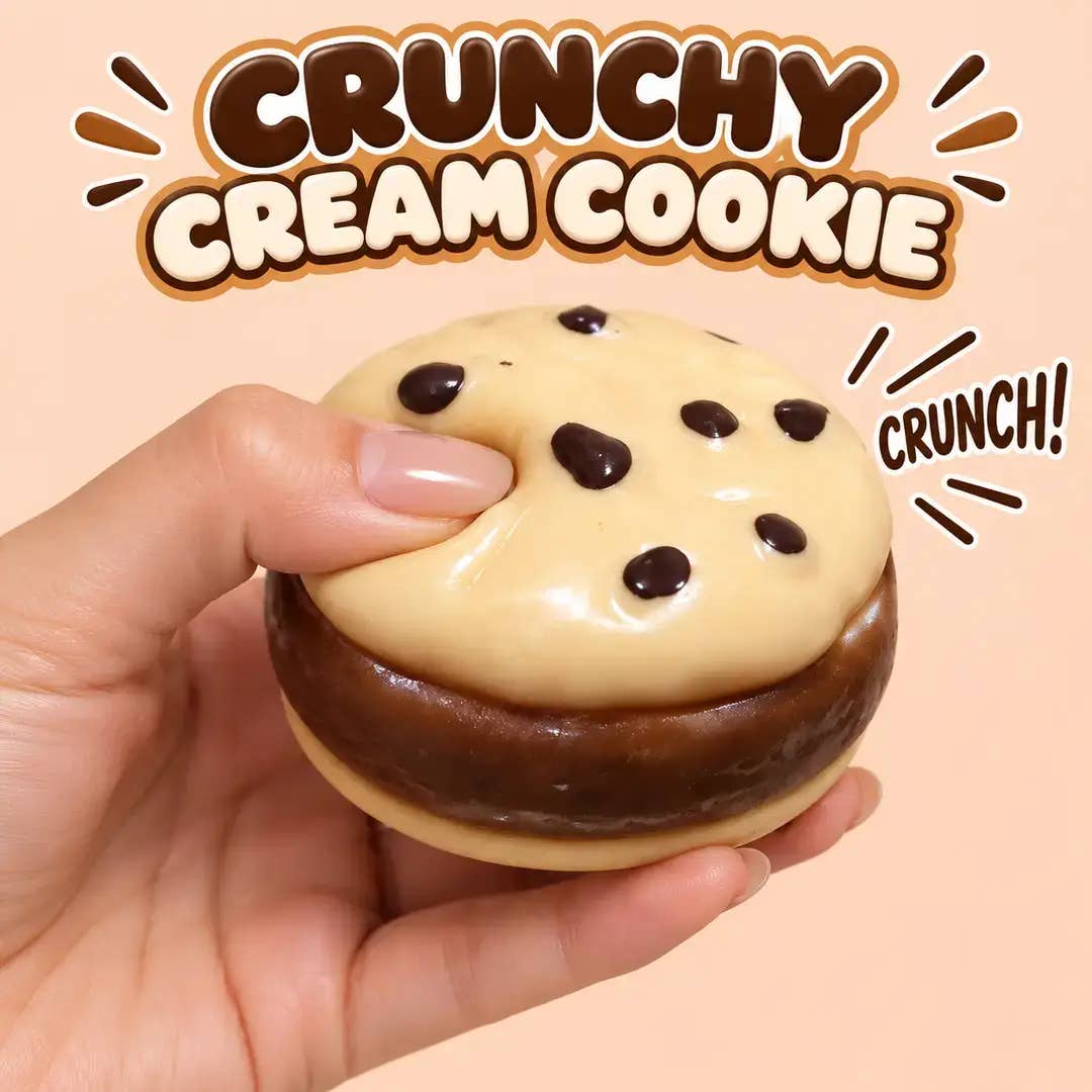 Crunchy Cookie Squishy